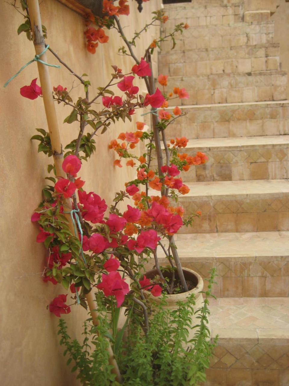 Hotel Dar Houdou Fès Exterior foto